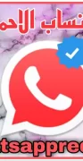 -screen-1